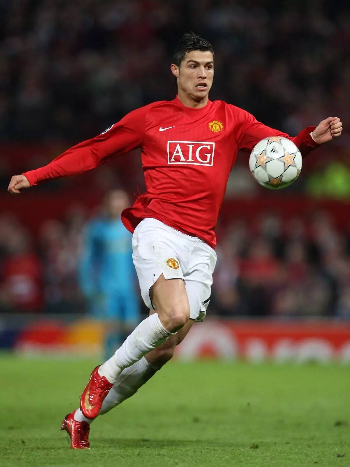 约克雷斯的 约克雷斯的